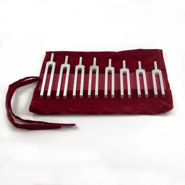 Biosonics Tuning Fork Set
